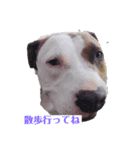 可愛いピッちゃん ②（個別スタンプ：2）
