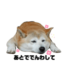 わたしんちのハナ（個別スタンプ：4）