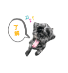 Reeちゃん（個別スタンプ：1）