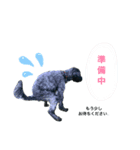 Reeちゃん（個別スタンプ：5）