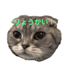 みかんゆずコテツのスタンプ2（個別スタンプ：3）