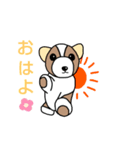 コーギーの子犬、プルコーギーちゃん（個別スタンプ：1）