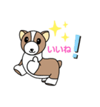 コーギーの子犬、プルコーギーちゃん（個別スタンプ：4）