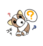コーギーの子犬、プルコーギーちゃん（個別スタンプ：7）