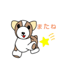 コーギーの子犬、プルコーギーちゃん（個別スタンプ：8）