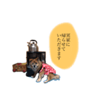 雑種犬モモがぼやくスタンプ（個別スタンプ：5）