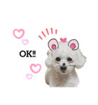 Maatan's Moco（個別スタンプ：5）