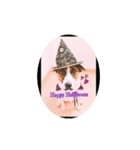 ansuke（個別スタンプ：2）