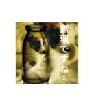 ansuke（個別スタンプ：8）