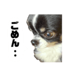 すかいくん 2（個別スタンプ：4）