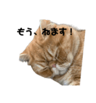 おダンゴにゃ（個別スタンプ：3）