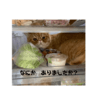 おダンゴにゃ（個別スタンプ：4）
