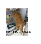 おダンゴにゃ（個別スタンプ：7）