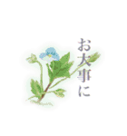 ことばに花を添えて（個別スタンプ：4）