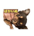 真路くん（個別スタンプ：5）