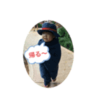 ひかあかすたんぷ（個別スタンプ：5）