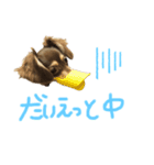 むぎちゃん❤️らぶ（個別スタンプ：2）