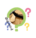ペットの名前はキキとジジ（個別スタンプ：7）