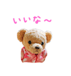 ぱんくぅーとなかまたち（個別スタンプ：5）