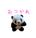 ぱんくぅーとなかまたち（個別スタンプ：13）