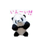 ぱんくぅーとなかまたち（個別スタンプ：14）