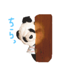 ぱんくぅーとなかまたち（個別スタンプ：24）