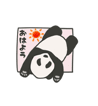 熊猫パンダ。毎日使える（個別スタンプ：1）