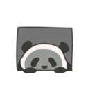 熊猫パンダ。毎日使える（個別スタンプ：34）