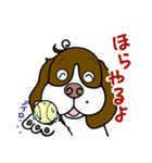 人をイラつかせるゆる犬（個別スタンプ：6）
