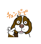 人をイラつかせるゆる犬（個別スタンプ：11）