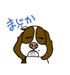 人をイラつかせるゆる犬（個別スタンプ：13）
