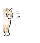ニャーとだけいう。（個別スタンプ：1）