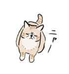 ニャーとだけいう。（個別スタンプ：5）