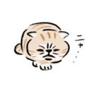 ニャーとだけいう。（個別スタンプ：6）