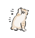 ニャーとだけいう。（個別スタンプ：10）