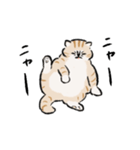 ニャーとだけいう。（個別スタンプ：11）