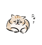 ニャーとだけいう。（個別スタンプ：13）