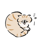ニャーとだけいう。（個別スタンプ：15）