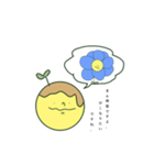 何かの種。（個別スタンプ：8）