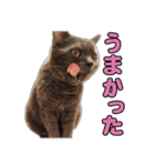 たわし パート1（個別スタンプ：8）