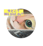 日ごろ用語 日本語とドイツ語（個別スタンプ：5）