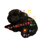 わんことの日常スタンプ（個別スタンプ：3）