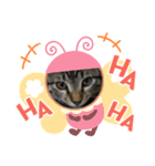保護猫ゆず君のスタンプ（個別スタンプ：5）