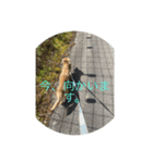 ROK Iスタンプ（個別スタンプ：3）