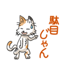 猫大好き！その29c（三毛猫）（個別スタンプ：10）