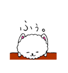 うちの自慢のポメラニアン（個別スタンプ：8）