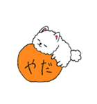 うちの自慢のポメラニアン（個別スタンプ：18）