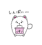 うちの自慢のポメラニアン（個別スタンプ：23）