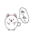 うちの自慢のポメラニアン（個別スタンプ：33）