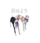 ベスとテトシと、時々、ソウシ（個別スタンプ：5）